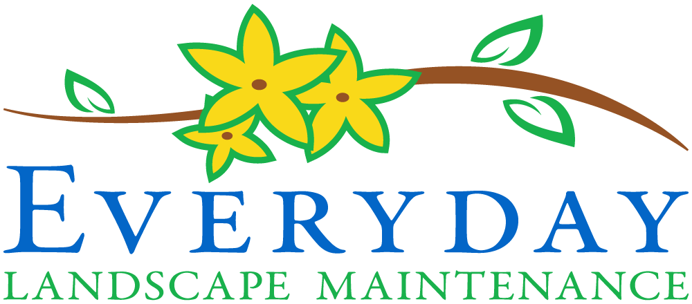 Everyday Maintenance Logo (Color)