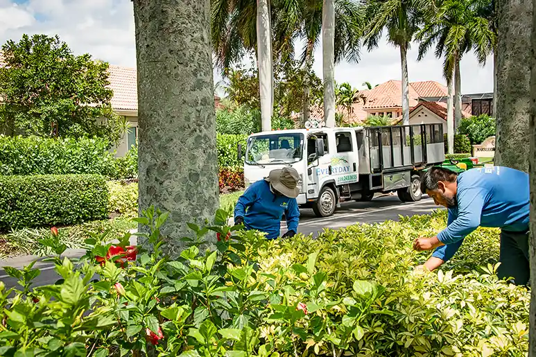 Landscape Maintenance - landscape design punta gorda fl