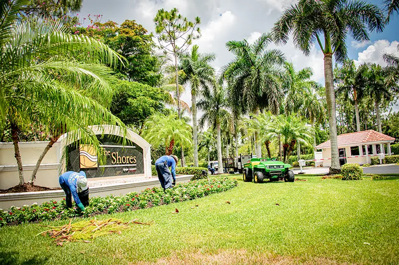 full service landscaping