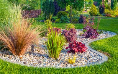 The Latest Landscape Design Trends In Southwest Florida