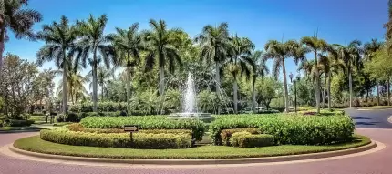 full service landscaping - landscape design