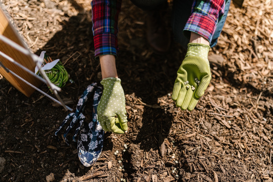 Magic of Mulch - best mulch for florida landscaping