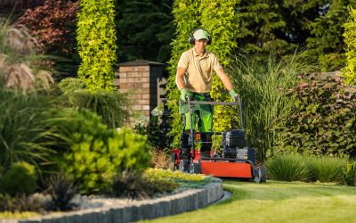Landscape Maintenance Is Important for Your Backyard