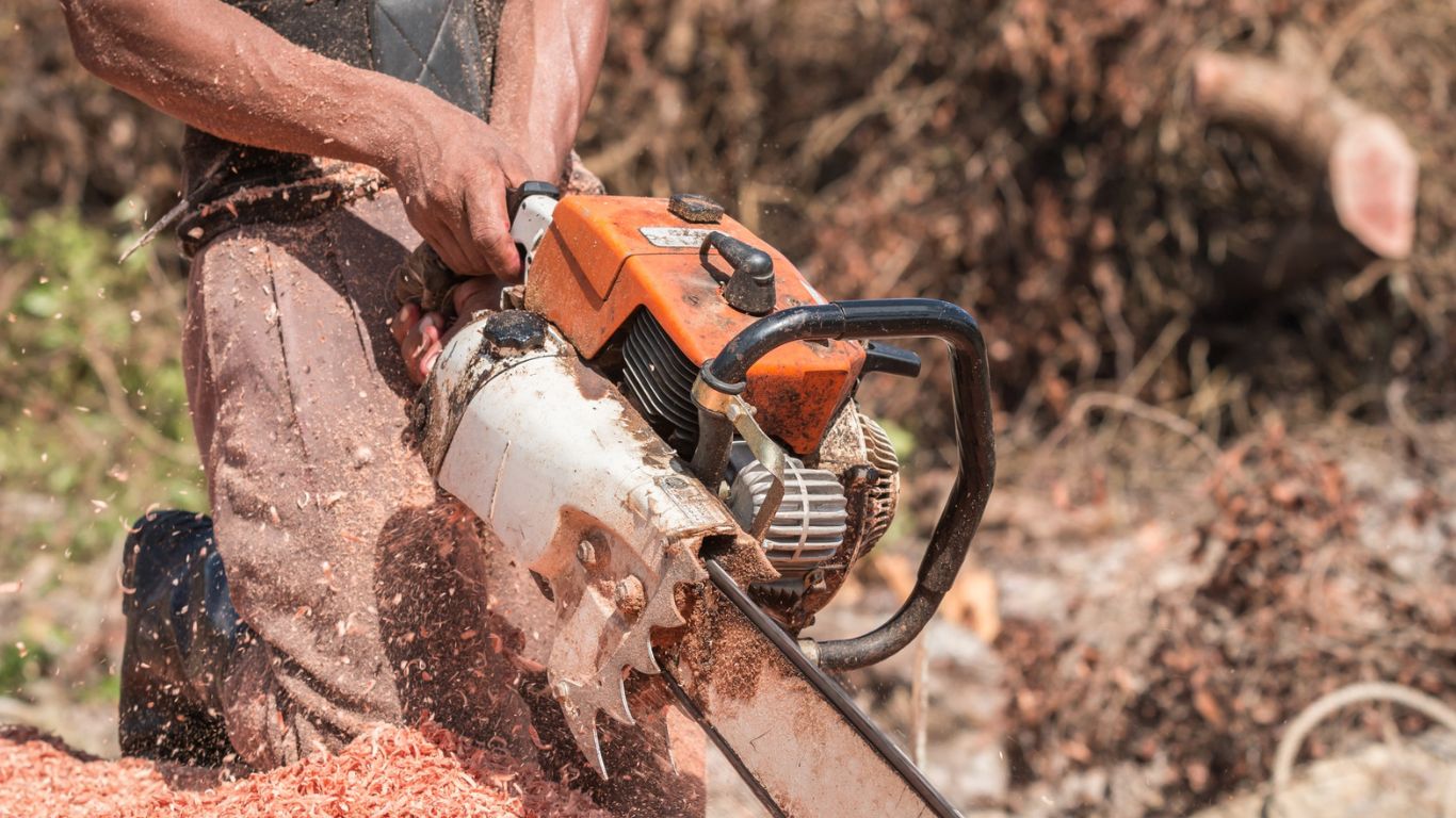 a man doing stump grinding trees