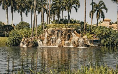 Bringing Your Vision to Life with Customized Landscape Design Services