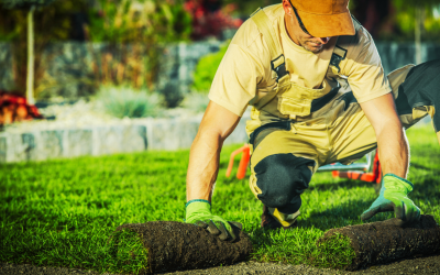 The Secret to Year-Round Landscape Maintenance in Punta Gorda